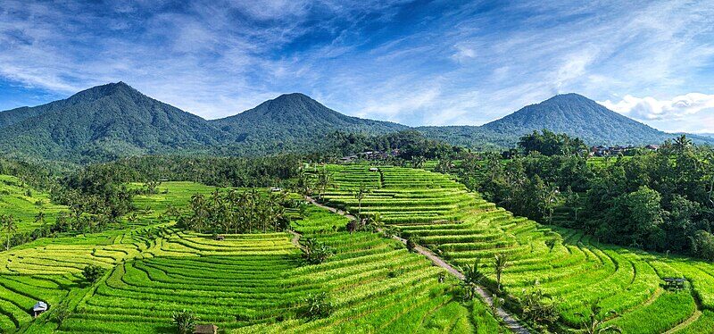 Ontmoetingen met Indonesië